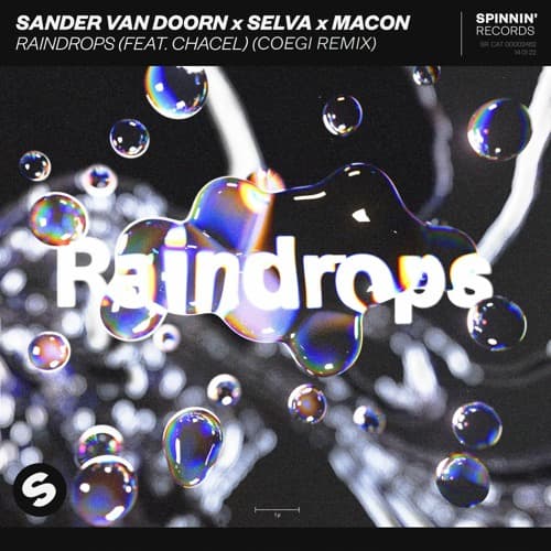 Sander van Doorn x Selva x Macon feat. Chacel - Raindrops (Coegi Remix)